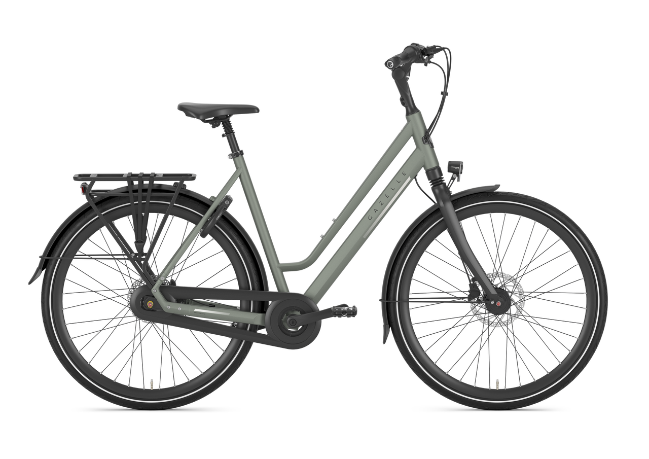 Trekkingrad Gazelle Chamonix C8 Low-Step clay green