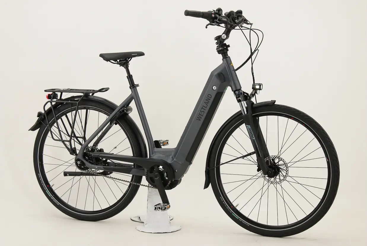 E-Bike Westland On Tour Wave 5G Rücktritt 500 Wh Active Line Plus Intuvia 28" grau