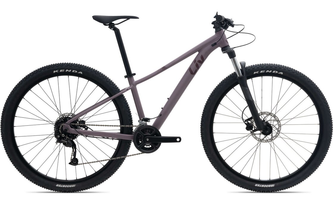 Liv Tempt 3+ – 29 Zoll – Diamant – 2024