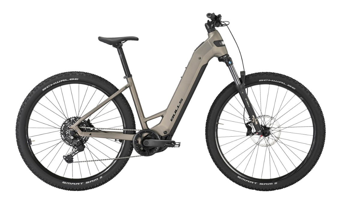 E-MTB Hardtail BULLS Copperhead EVO XXL 29" 800Wh Wave 10G Performance CX monza grey matte